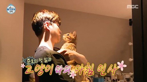 0003024643_001_20170428234903448