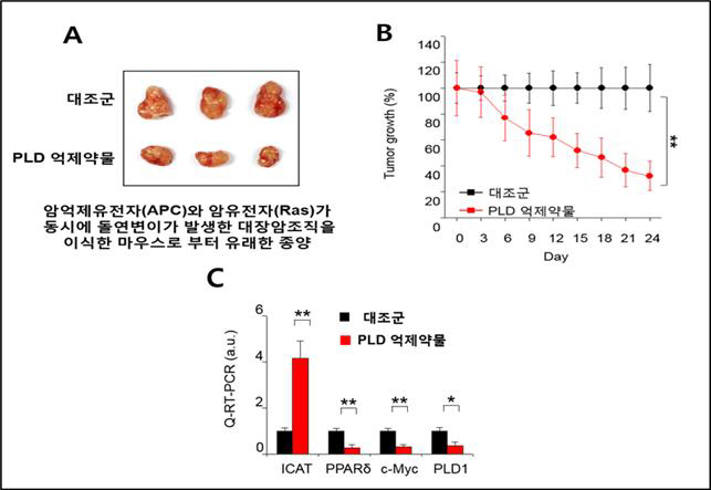 대장암2