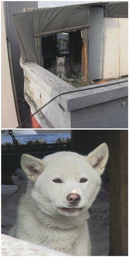 20180128000718_0_20180128120808293