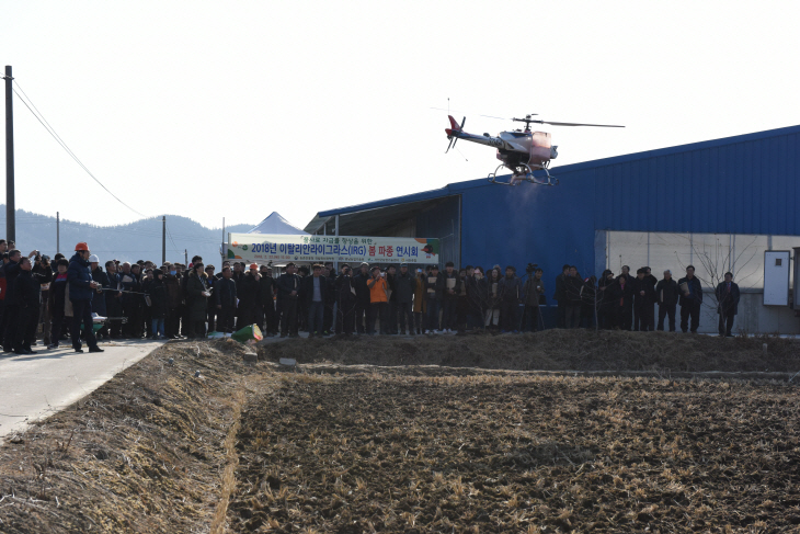 헬기를 이용한 월동사료작물 파종 모습