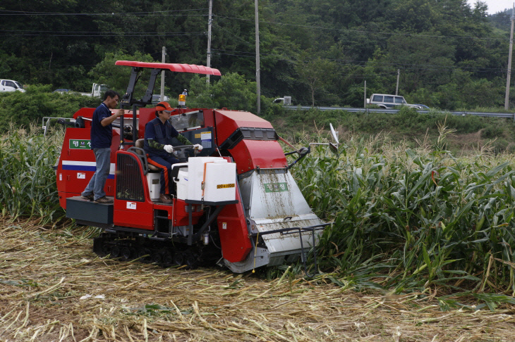크기변환_보성군,논타작물확대재배적극추진 (1)
