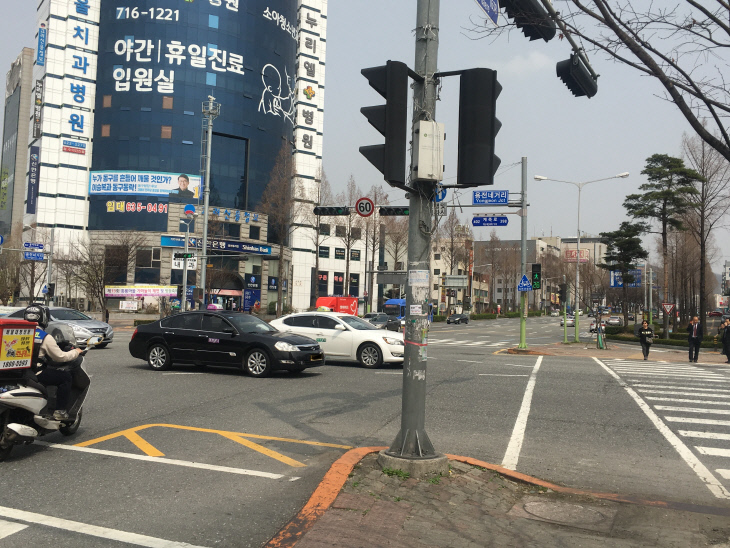신호등11