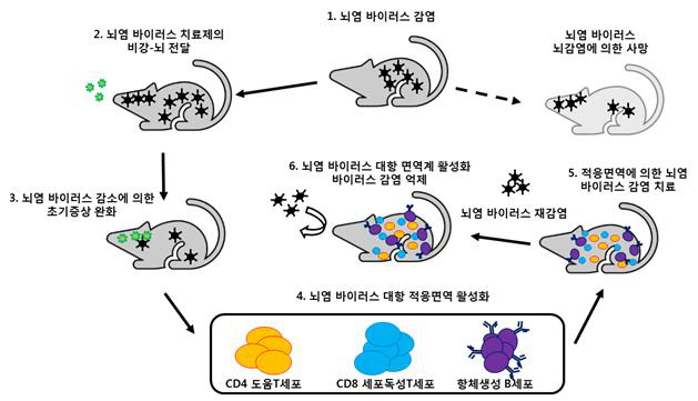 연구성과 그림(1)