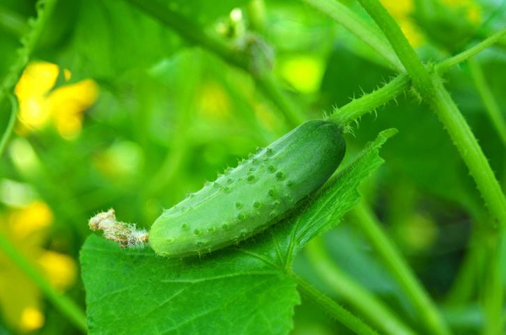 GettyImages-811103216