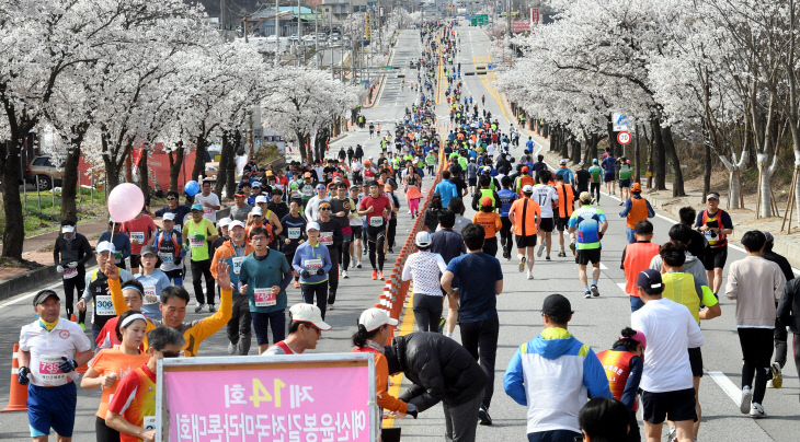 20180408-예산 벚꽃 마라톤대회2