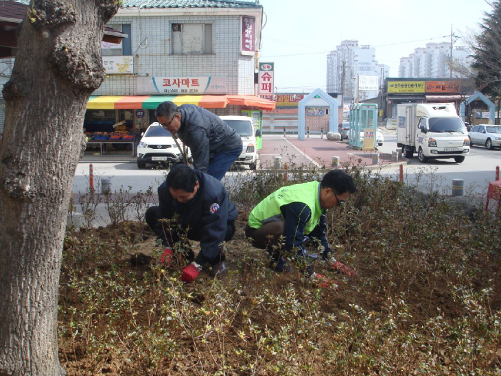 도시숲 조성사진
