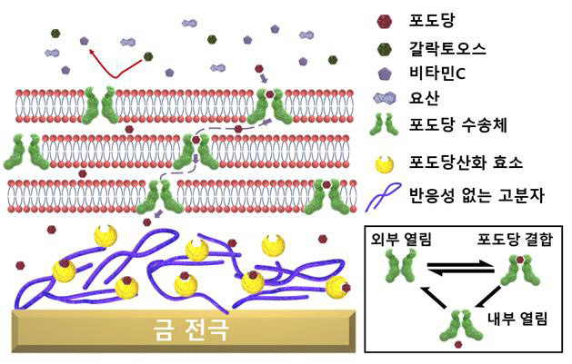 연구성과 그림(1) (1)