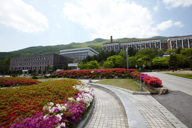 보도자료 사진(2)