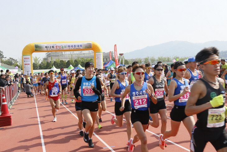 보성녹차마라톤대회개최 (1)
