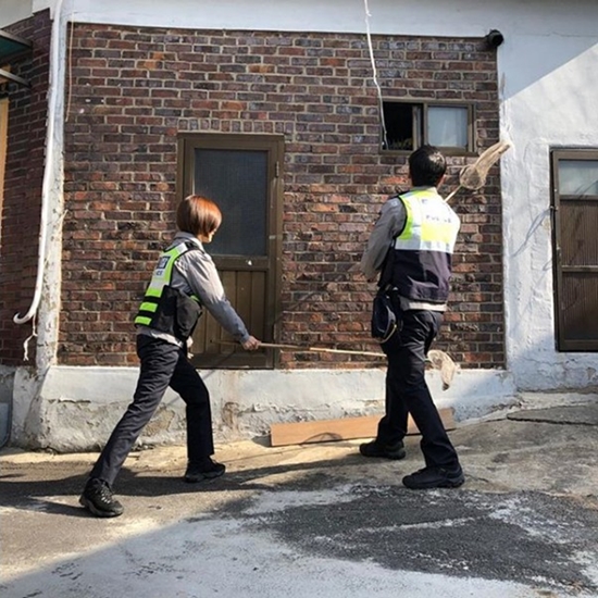 Screenshot 2018-04-29 at 12