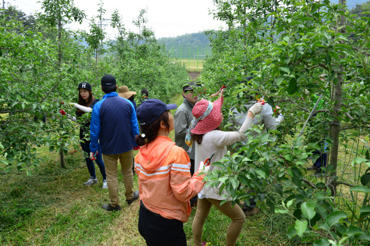 제천시 공무원 농촌일손돕기
