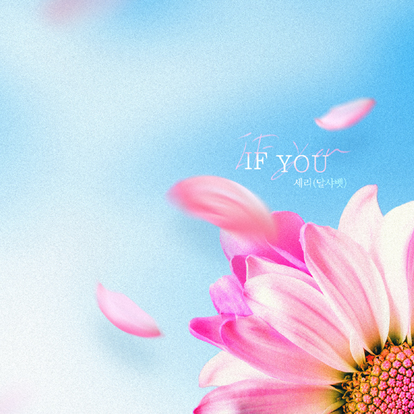 달샤벳_세리-자켓