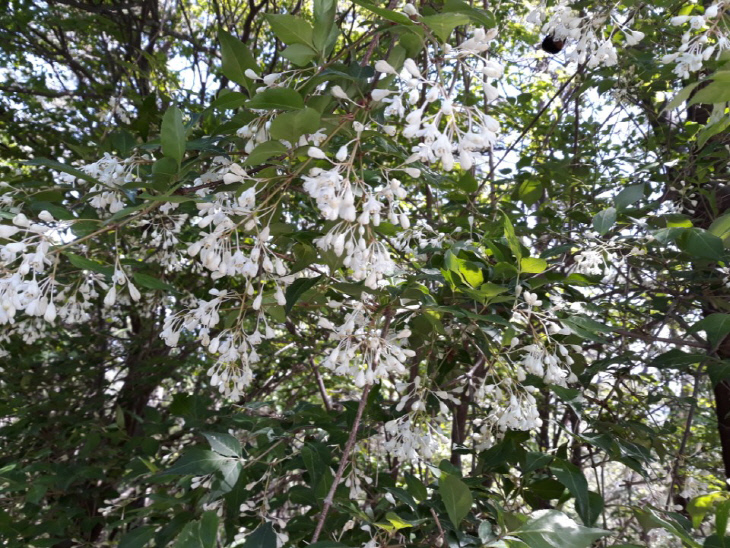 KakaoTalk_20180510_153924449