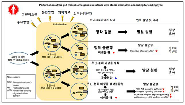 아토피