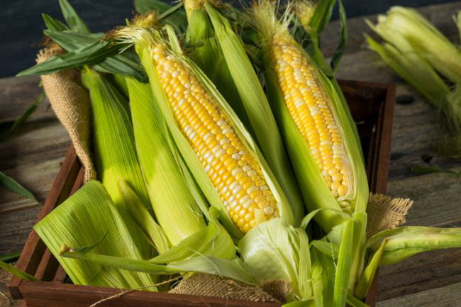옥수수