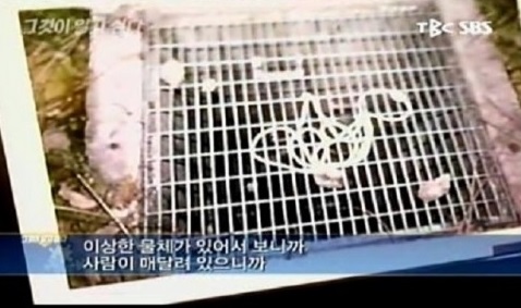 news_1421708928_483005_m_1_99_20150120133402