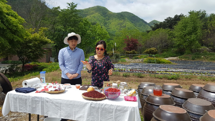 20180528_250만구독자유튜버망치가전하는한국의맛_참고사진2