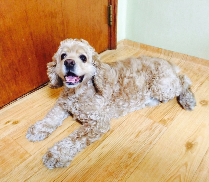 KakaoTalk_20180609_120137678