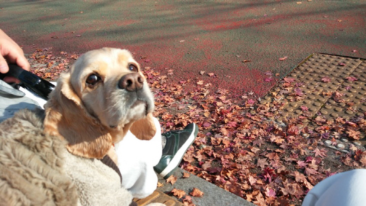 KakaoTalk_20180609_191937459