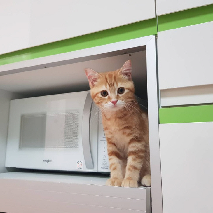 KakaoTalk_20180612_155638378