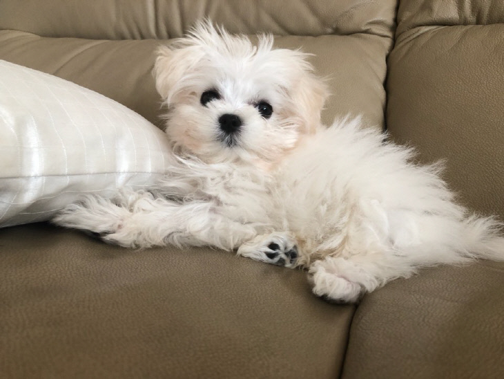 KakaoTalk_20180610_114429715