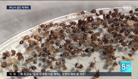 0004087296_001_20170930074327543