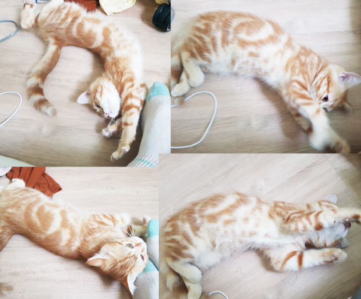 ㅁㄴㅇㄻㄴㅇㄹ