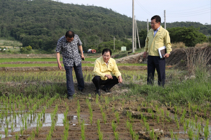 크기변환_완도 고금 가교지구 현장 점검