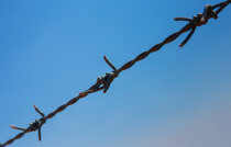barbed wire