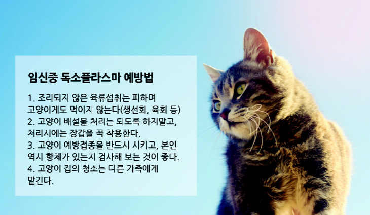 임신 중에 개를 키우는 것은 위험한가요