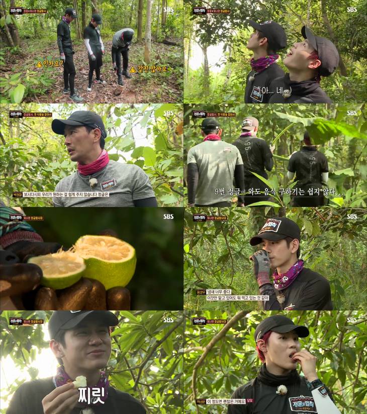 워너원,박정철 정글탐사대 사진종합