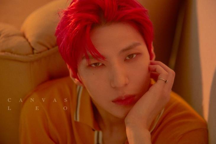 월_빅스 레오 매력포인트3(2)