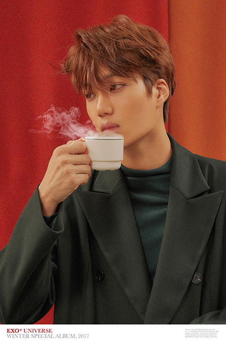 [아이돌챔프]엑소카이