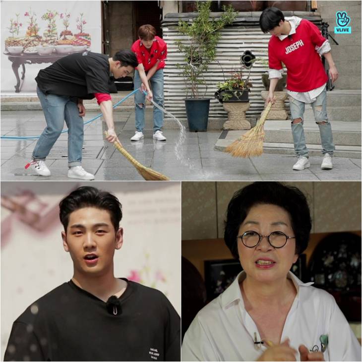 뉴블의 러브도시락_백호_0905