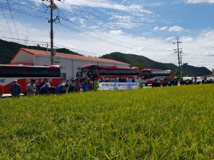 벼농사 기술보급사업 종합평가회