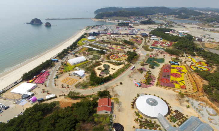 태안 튤립축제 성료