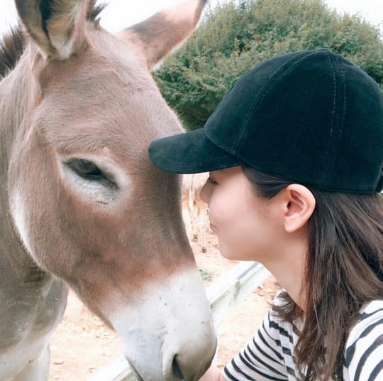 201809250845214110_1