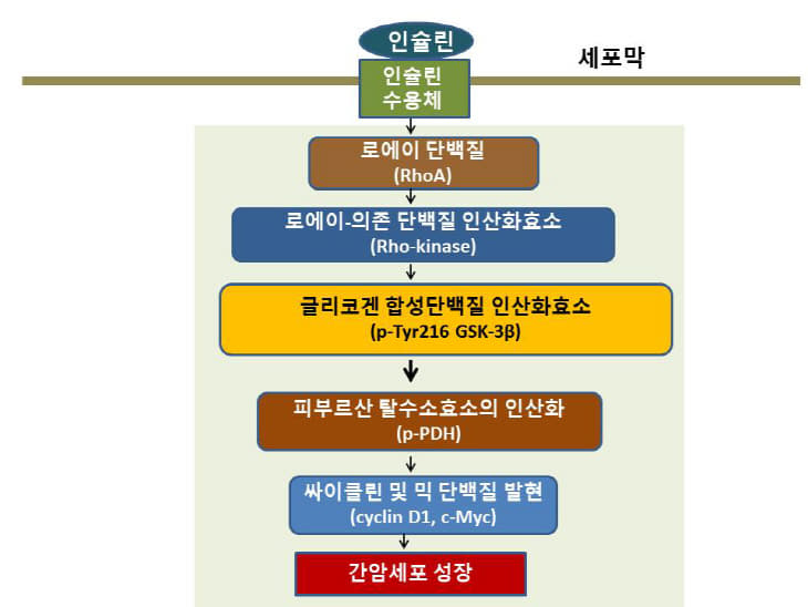 그림2(한글)