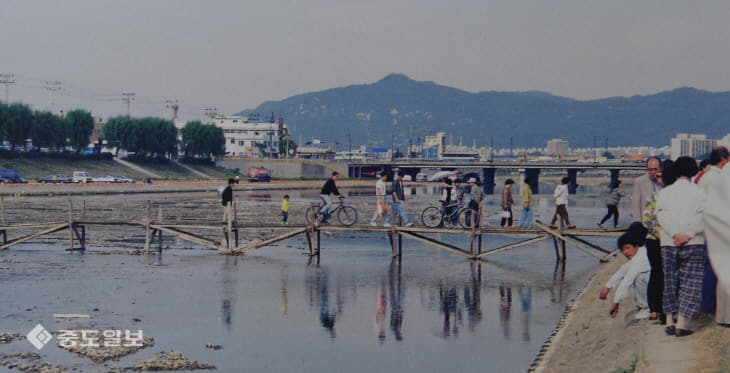 서구5