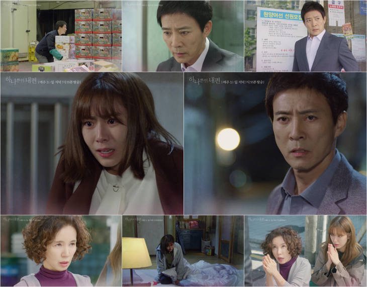 하나뿐인 내편_[사진제공=KBS 2TV _하나뿐인 내편_ 캡처]