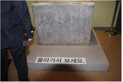 심주