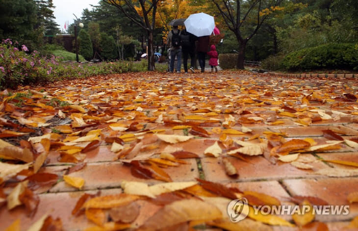 가을비