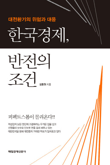 한국경제반전의조건