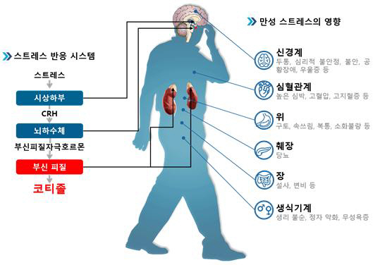 그림1