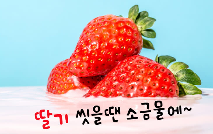 딸기 최종