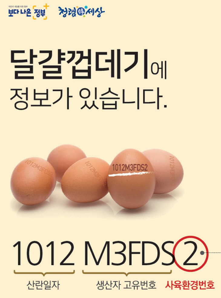 관련사진1