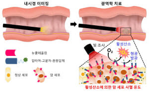 그림1