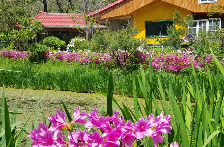 안물안 둥지의 봄1