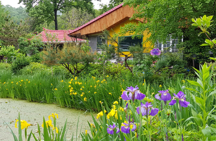 안물안 둥지의 봄3