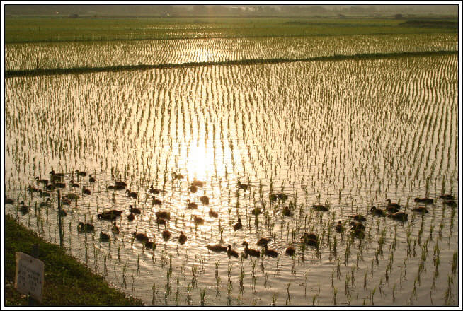 2019011701001478000063921